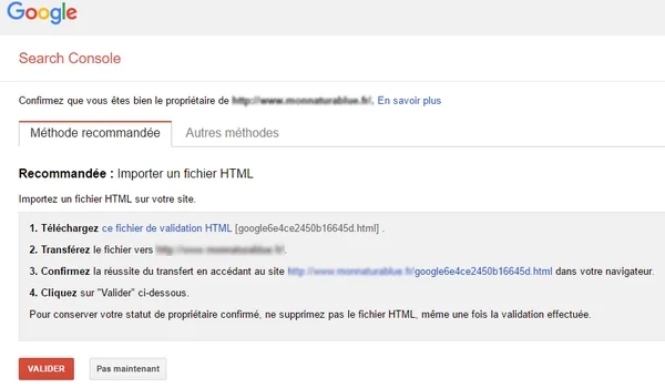 confirmation-search-console